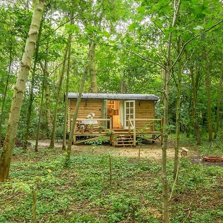 Willa Woodland Retreat Shepherds Hut Brundish Zewnętrze zdjęcie