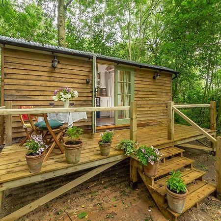 Willa Woodland Retreat Shepherds Hut Brundish Zewnętrze zdjęcie