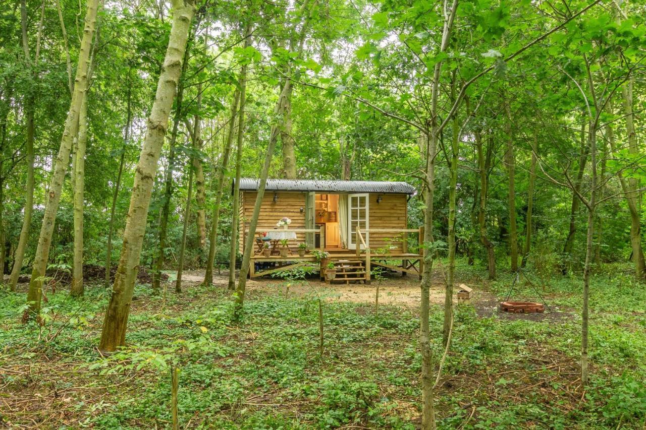 Willa Woodland Retreat Shepherds Hut Brundish Zewnętrze zdjęcie